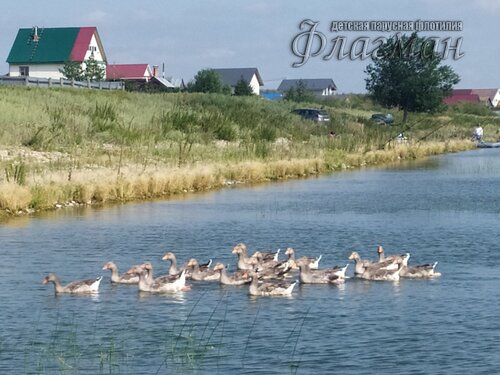 IMG_20240807_151854